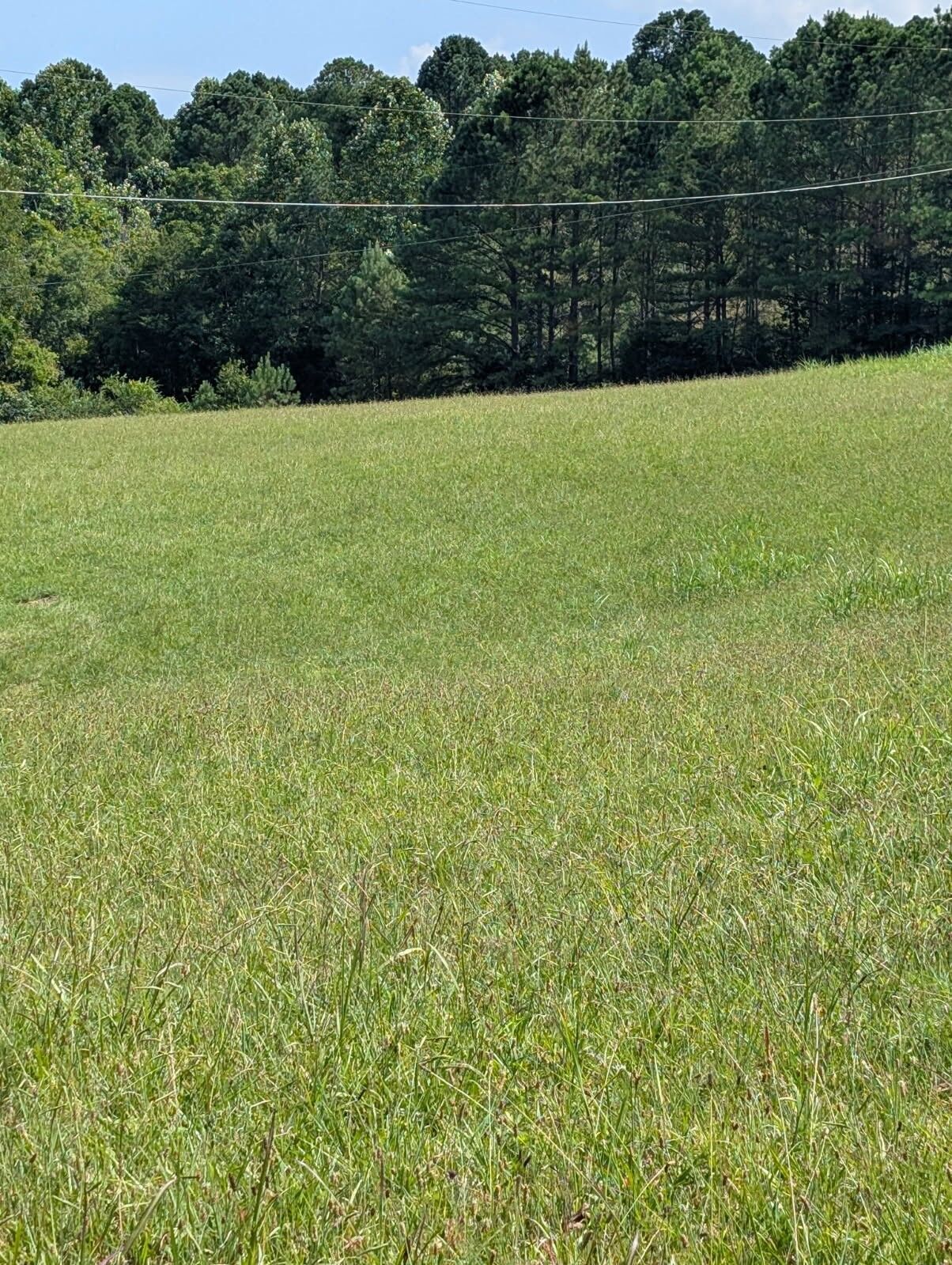 Property Photo:  0 Old Mt View Rd  TN 37355