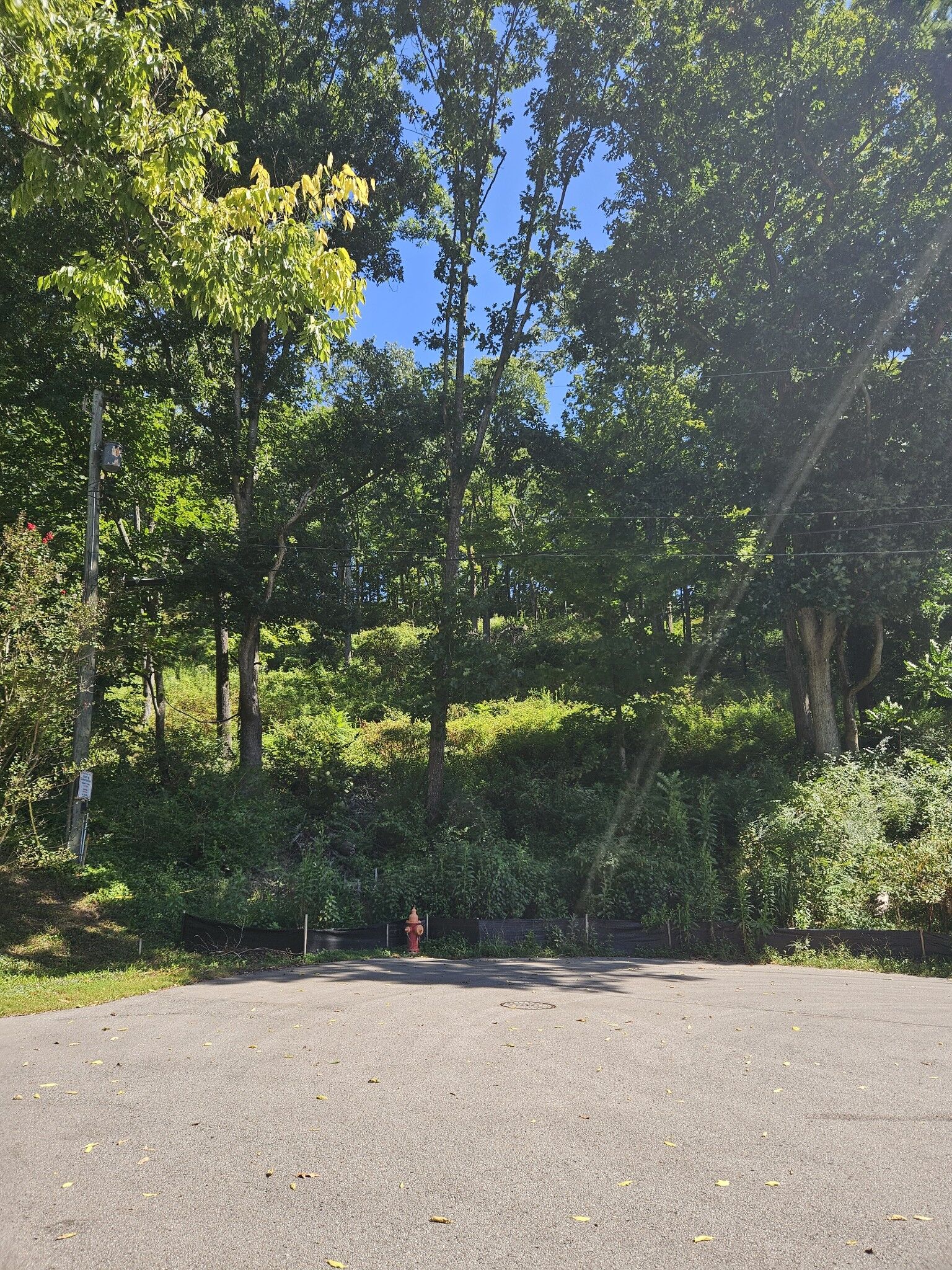 Property Photo:  2014 Otter Valley Lane  TN 37215 