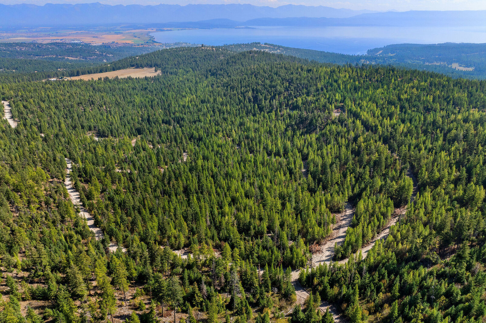 Property Photo: Nhn (Tract 10) Boon Road MT 59932