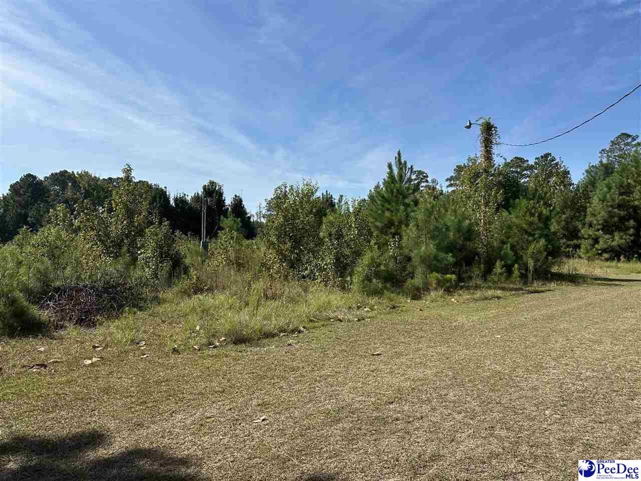 Property Photo:  622 Willowtree Rd  SC 29540 
