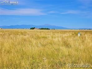 Property Photo: 23712 Redtail Drive CO 80928