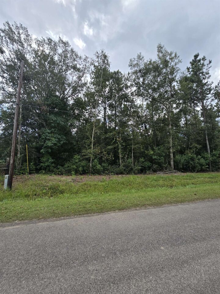 Property Photo: 00 Tbd Whitetail Forest Rd TX 77625