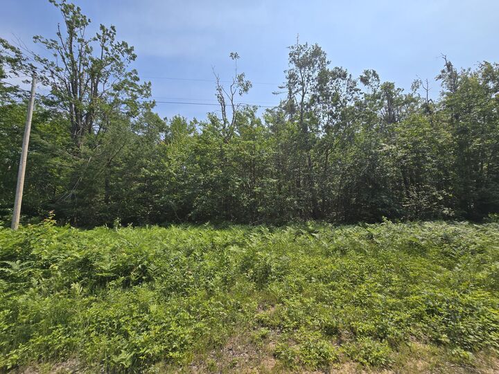 Iroquois Trail  Gaylord MI 49735 photo
