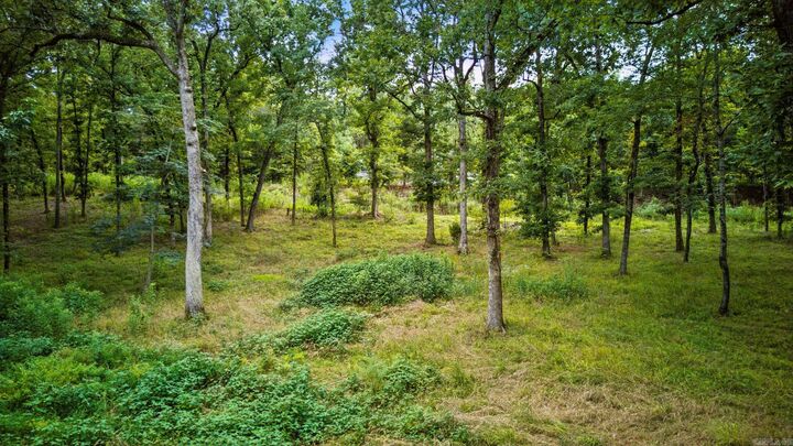 Property Photo:  Lot H1 Charlie Stover  AR 71968 