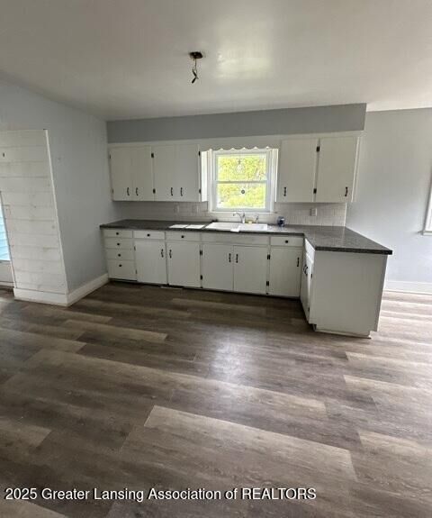Property Photo:  2411 Bliesener Street  MI 48911 
