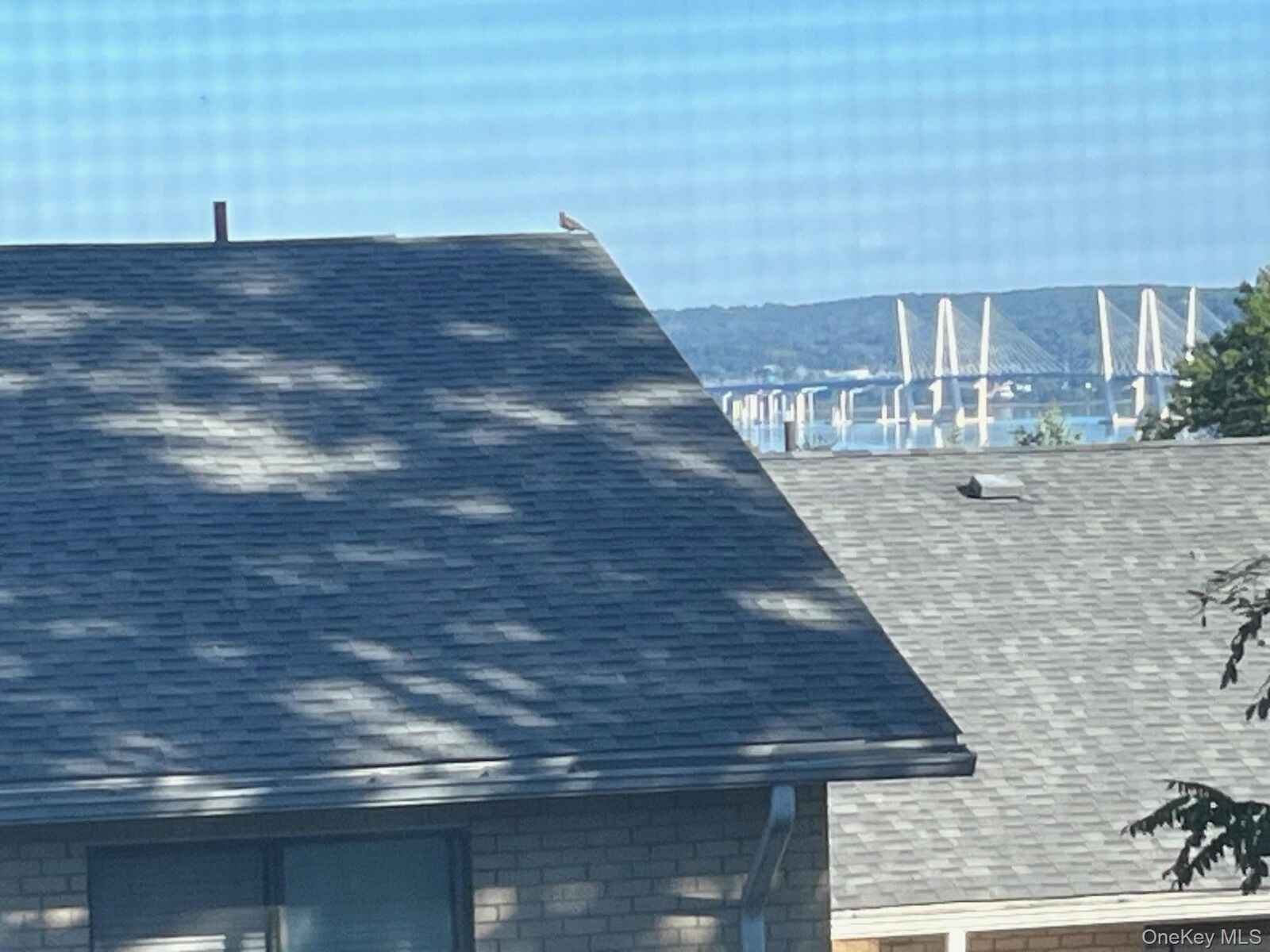 Property Photo:  294 High Avenue A3  NY 10960 