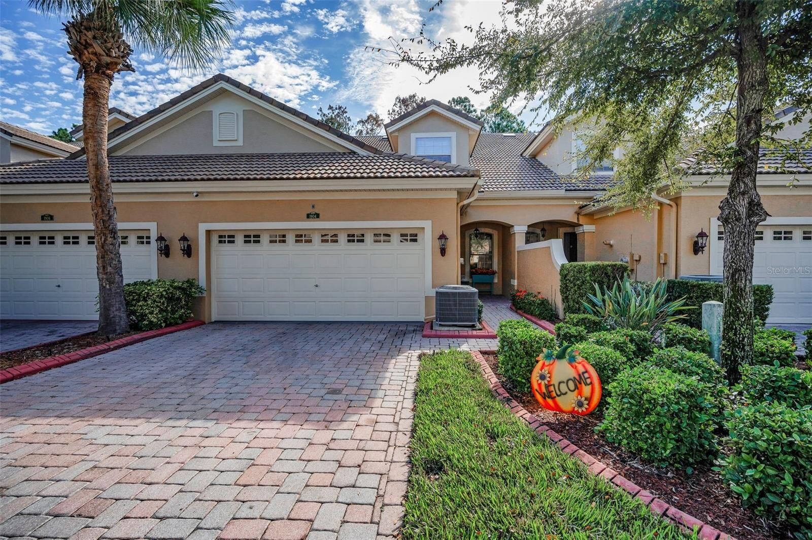 Property Photo:  1904 Paw Paw Place  FL 34655 