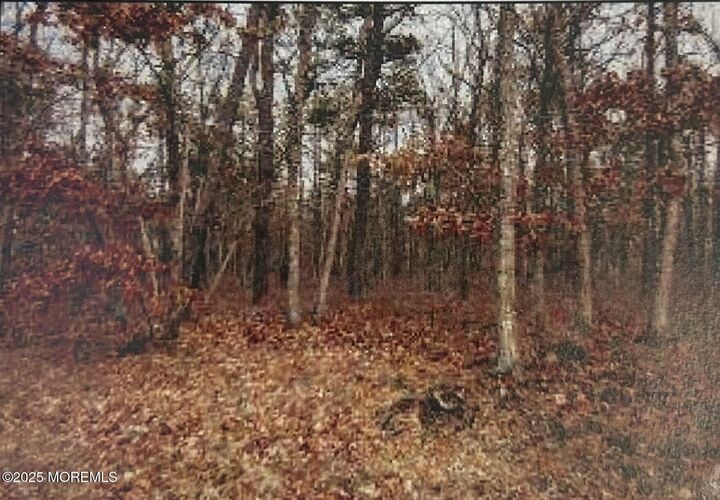 Property Photo:  0 Elsiah Street  NJ 08731