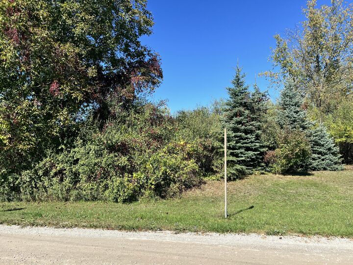 Property Photo:  Lot 108 Stella Street  MI 49405 