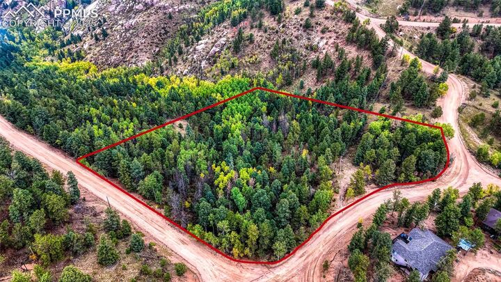 Property Photo:  599 Dandy Jim Drive  CO 80813 