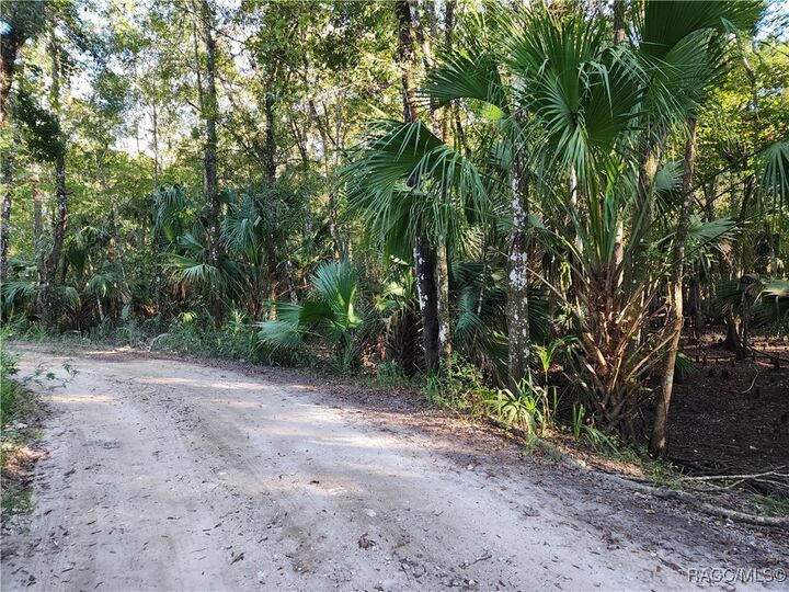 Property Photo: 13334 E Shawnee Trail FL 34450