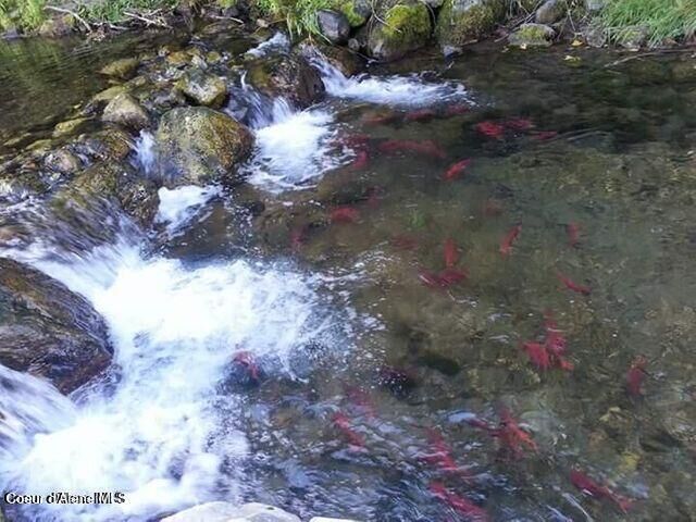 Unit 2 Blk 9 Lot 4  Bayview ID 83803 photo