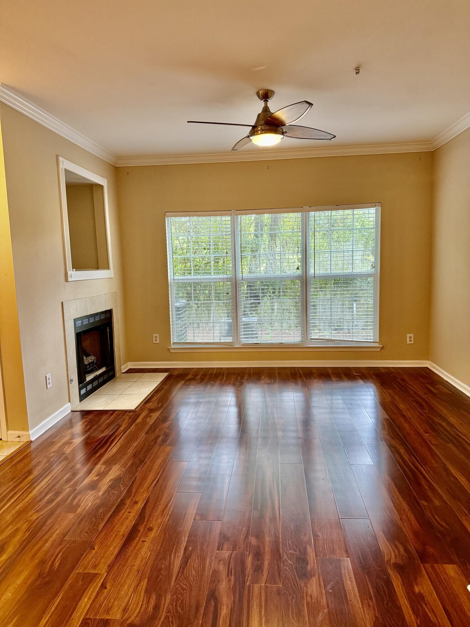 Property Photo: 700 Daniel Ellis Drive # 14104 SC 29412