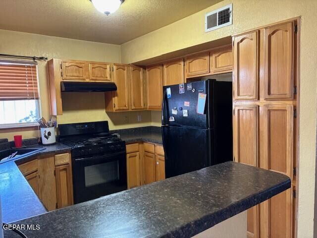 Property Photo:  1743 Ruddy Quail Lane  TX 79936 