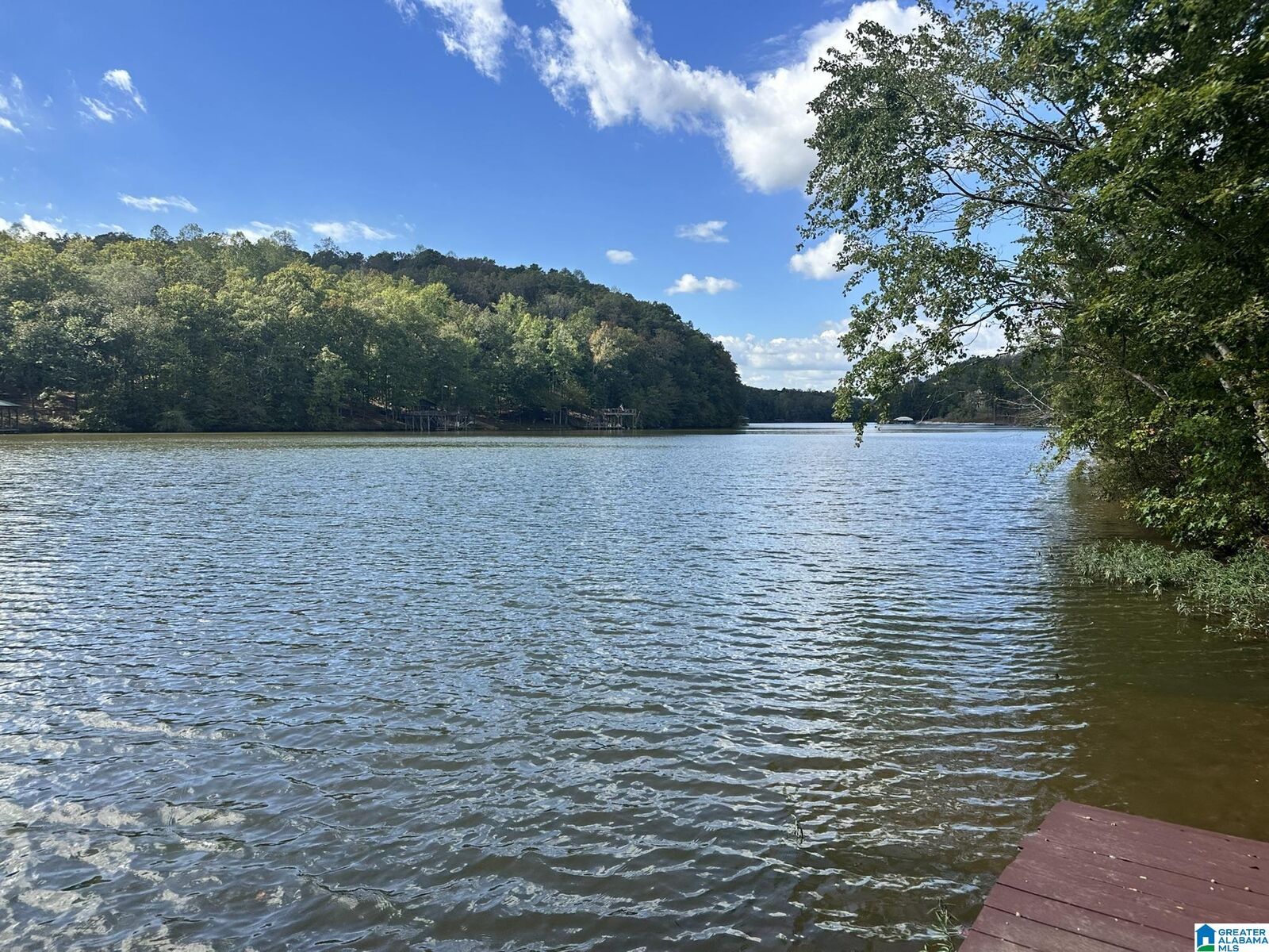 Property Photo: Lot 41 County Road 264 41 AL 36278