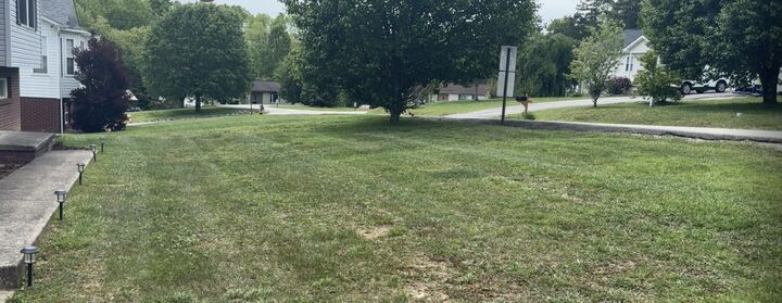 Property Photo: 162 Verbena Drive KY 40701