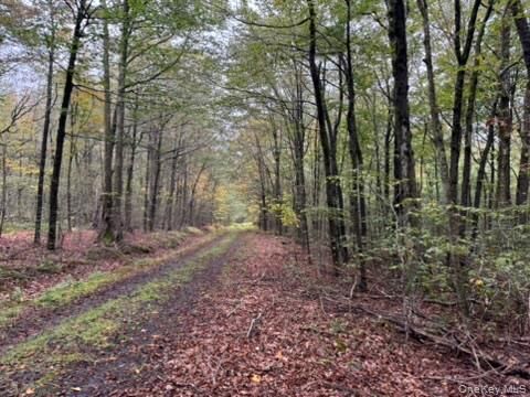 Property Photo: Little Ireland Road NY 12758