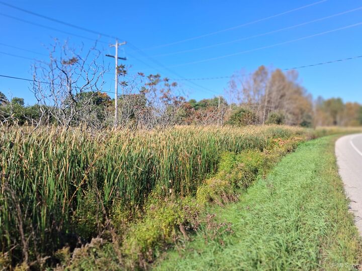 Property Photo:  N 3rd Street  MI 49894