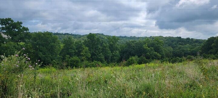 Property Photo: 15711 Pfanstiehl Road KY 41033