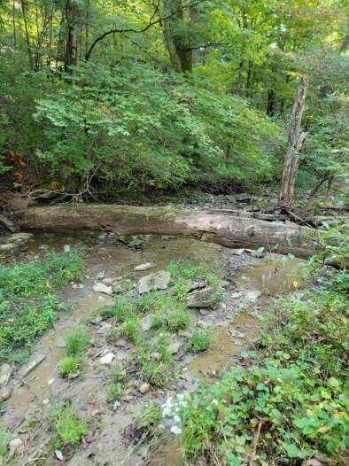 Property Photo:  15711 Pfanstiehl Road  KY 41033 