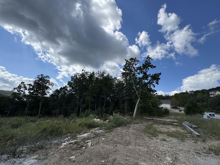 Property Photo: 951 Crescent Drive MO 65672