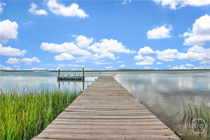 Property Photo:  743 Cattle Hammock Road  GA 31320