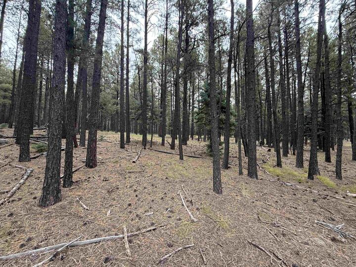 Property Photo:  Lot 115 San Juan Dr  NM 87710 