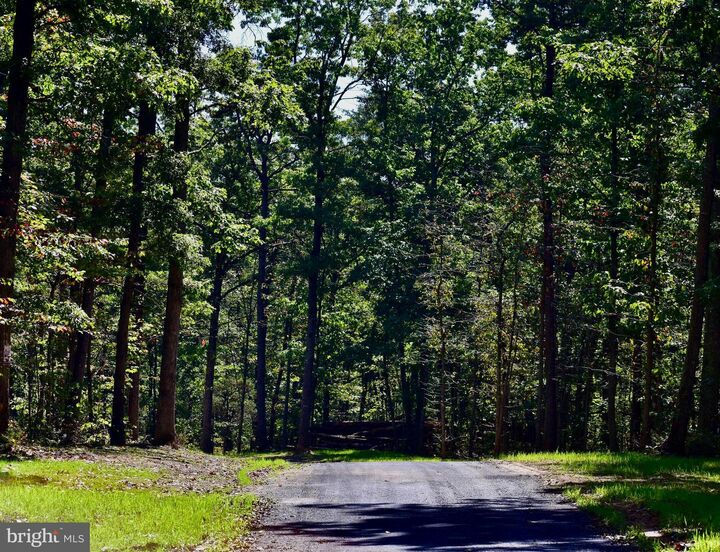 Property Photo:  158.5 Acres Lot 3 Laurel Grove Rd.  VA 22602 