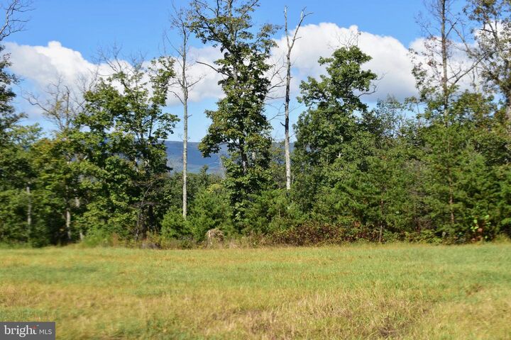 Property Photo: 158.5 Acres Lot 3 Laurel Grove Rd. VA 22602