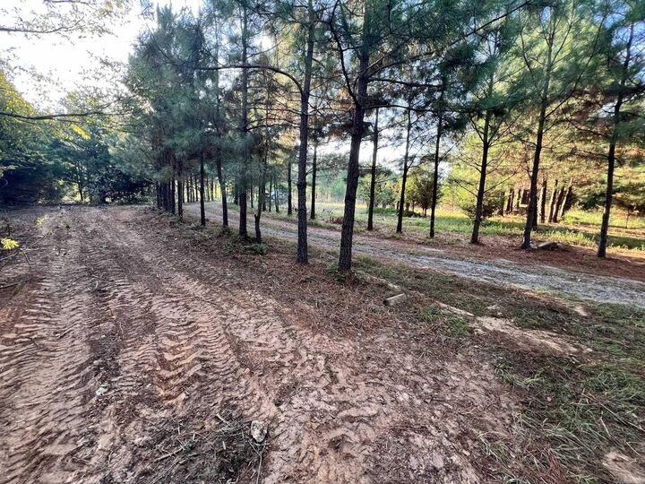 Property Photo:  116 Cardin Circle  AR 72047 