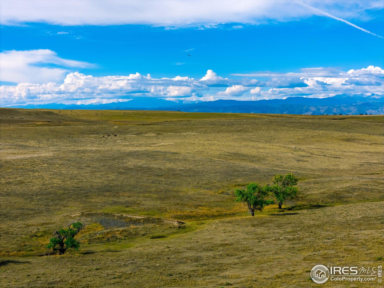 Property Photo: 9221 County Road 110 CO 80612