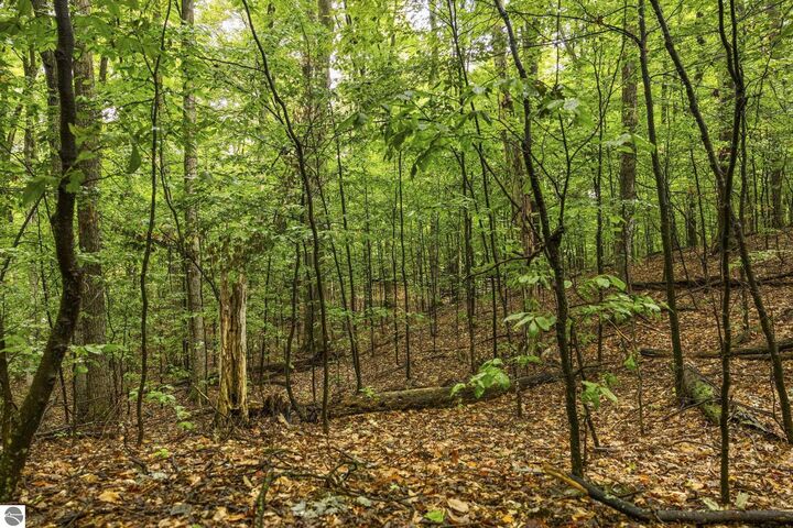 Property Photo:  0 S Golden Valley Drive  MI 49630 