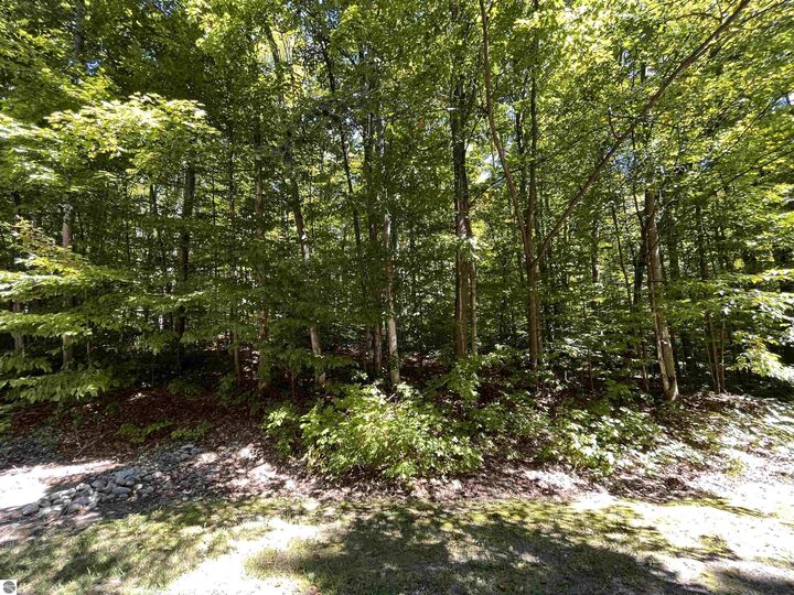 Property Photo:  Lot 70 N Klaffen Strasse  MI 49615 