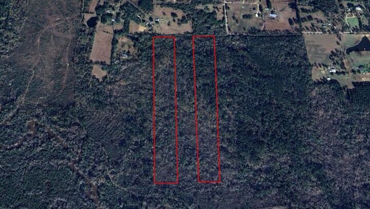 Tbd Scallon Rd.  Deridder LA 70634 photo