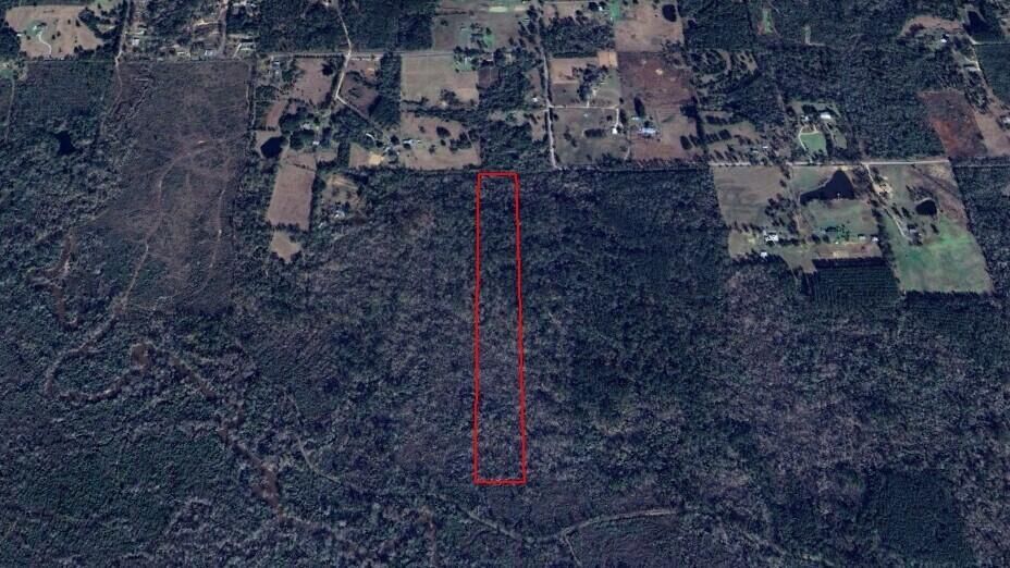 Property Photo:  Tbd Scallon Rd.  LA 70634 