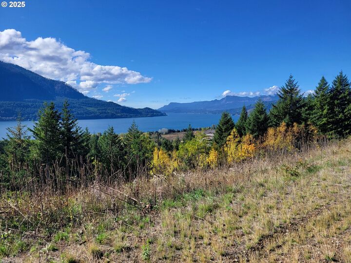 Property Photo:  Cottonwood  WA 98648 