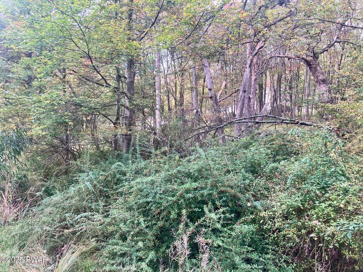 Property Photo: Gold Key Road PA 18337