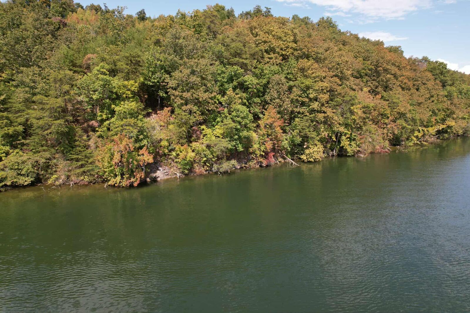 Property Photo:  Lot 39 Waterside Way  TN 37381 