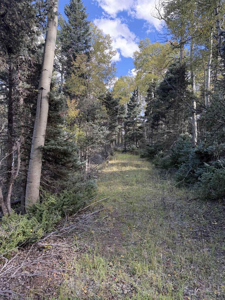 Property Photo: Lot 77 Via De Maria NM 87710