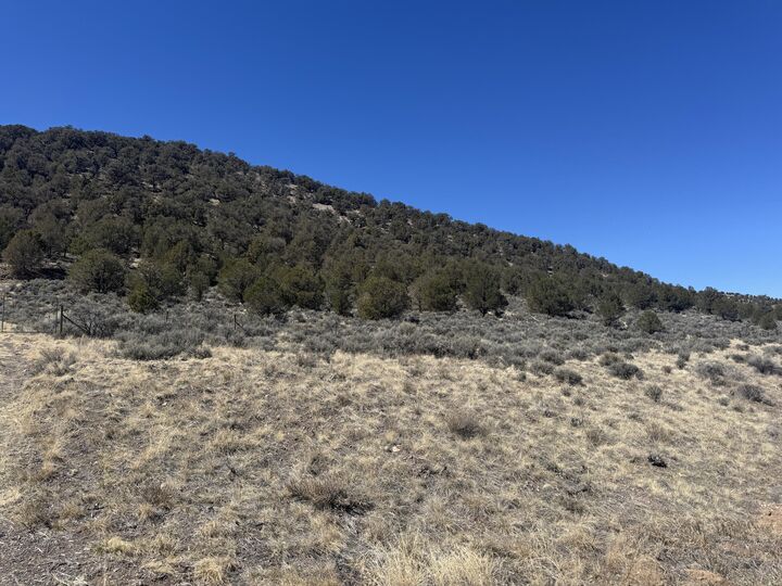 1850 S Riverview Dr 5  Panguitch UT 84759 photo