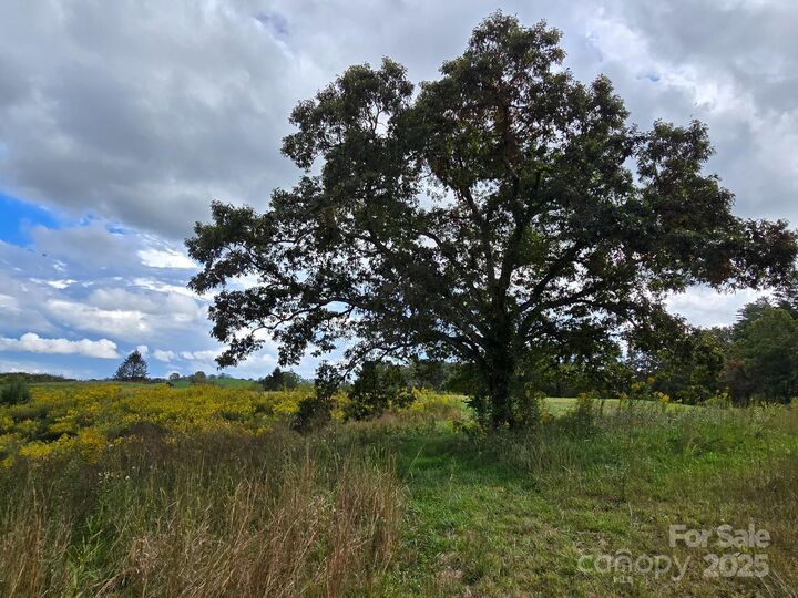 Property Photo:  128 Cook Lane  NC 28759 