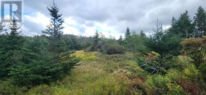 Property Photo:  11 Barrys Island Road North  NL A0A 1B0 