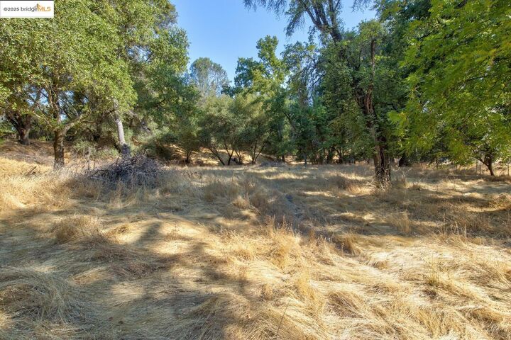 Property Photo: 20351 Tuttletown Road CA 95370