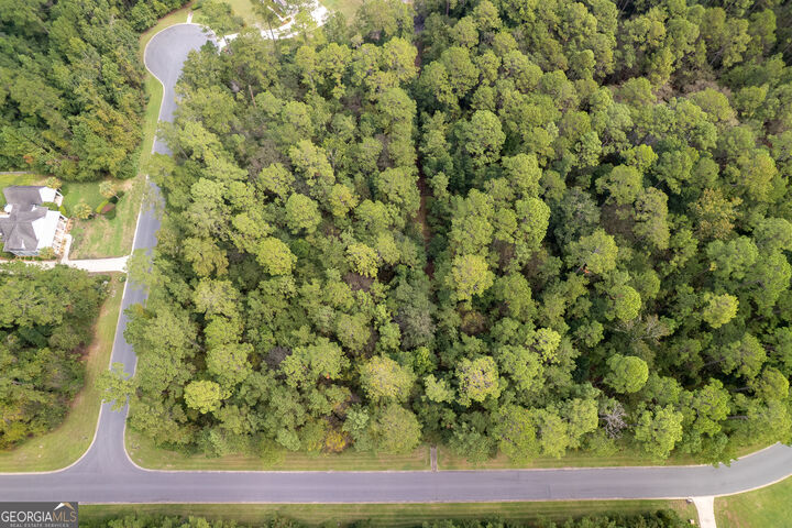 Property Photo:  V/L 173A Misty Harbor  GA 31569 