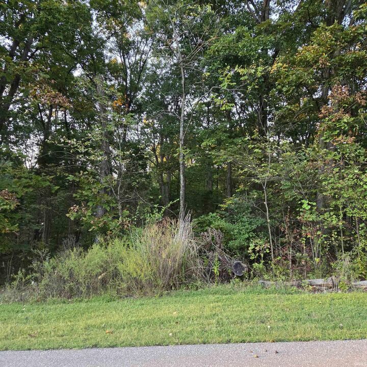 Property Photo:  0 W Chestnut By The Fire Street  IN 47579 