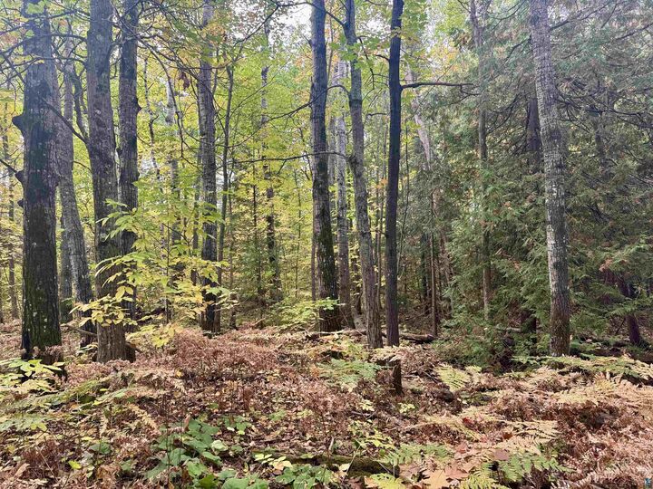 Property Photo:  Tbd Eagle Run  WI 54814 