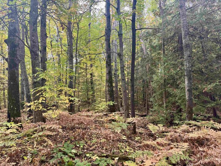 Property Photo:  Tbd Eagle Run  WI 54814 