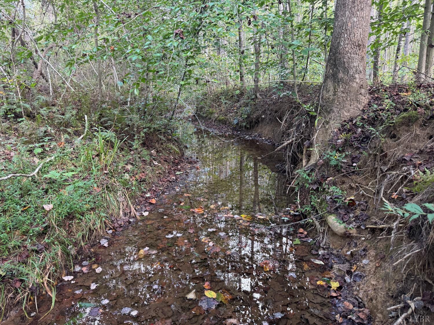 Property Photo:  0 Mountain Ridge Lane  VA 22971