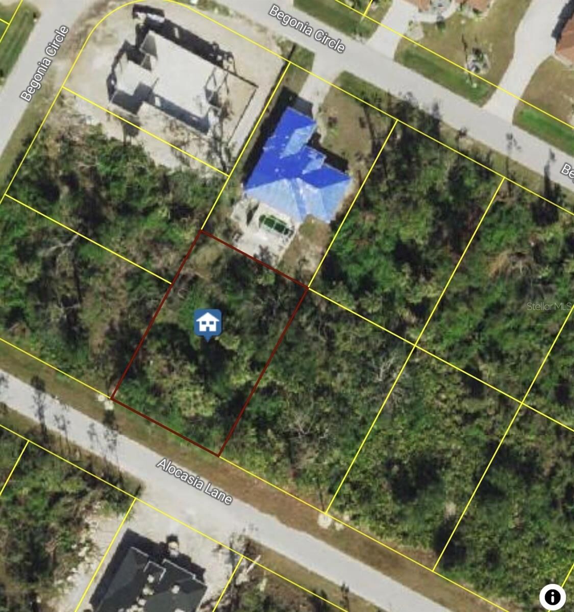Property Photo:  13364 Alocasia Lane  FL 33981 