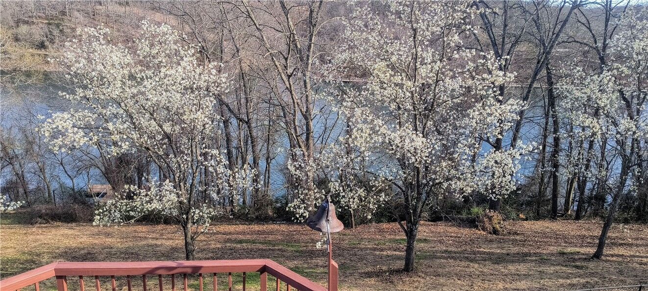 Property Photo:  832 Atalanta Drive  AR 72756 